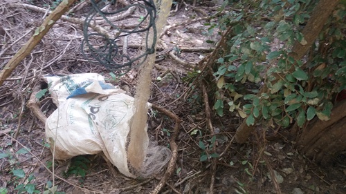 Em Bela Vista Polícia Militar Ambiental desmonta acampamento e apreende petrechos ilegais