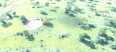 Polícia Militar Ambiental de Bela Vista autua infrator em R$ 7,5 mil por desmatamento ilegal de 25 hectares de vegetação nativa de cerrado