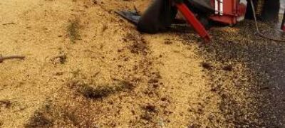 Caminhão carregado de soja tomba na MS 384 em Caracol