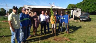 Avanços em Arborização, Coleta Seletiva e Educação Ambiental em Caracol