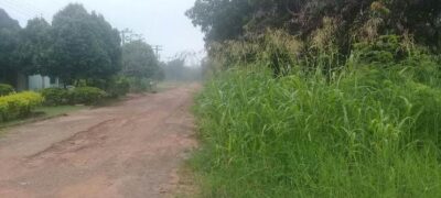 Hemerson Buiu pede roçada e limpeza na Baixada Corintiana