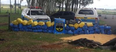 Polícia apreende 1,34 tonelada de maconha em carga de milho