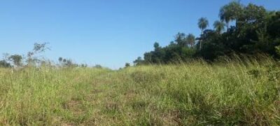 Jardim: Polícia Militar Ambiental autua infrator em R$ 19,5 mil por desmatamento ilegal em área protegida de reserva legal