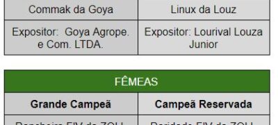 Commak da Goya esta entre os grandes campeões da ExpoZebu 2019