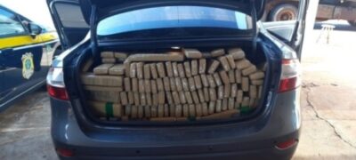 Condutor foge de barreira policial e abandona 550 quilos de maconha