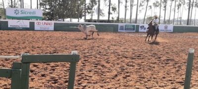 Bela Vista sediou a abertura oficial da temporada do laço comprido no MS