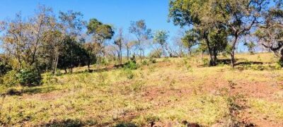 Polícia Militar Ambiental de Jardim autua campo-grandense em R$ 18 mil por desmatamento de 60 hectares de vegetação nativa