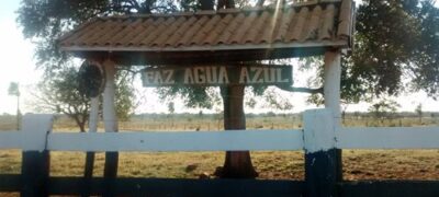 Fazenda de 2.000 hectares vai a leilão em Bela Vista