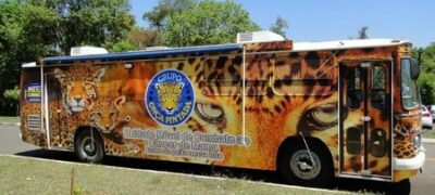 Buiu e Johnys pedem presença do Ônibus “Onça Pintada” em Bela Vista