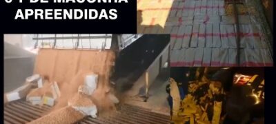 PRF apreende 6 toneladas de  maconha em 12 dias de operação