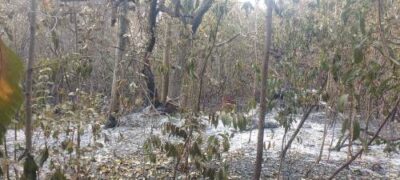 Homem é multado em R$ 158 mil por queimada em fazenda