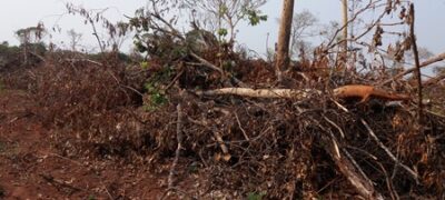Polícia Militar Ambiental de Bela Vista autua dois assentados em R$ 4,2 mil por desmatamentos ilegais de 14 hectares