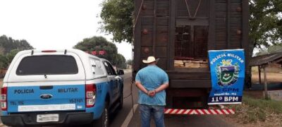 Polícia Militar apreende mais de 2 toneladas de maconha no distrito de Boqueirão