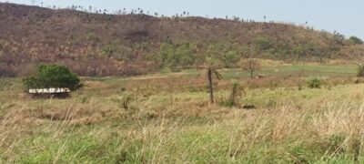 Polícia Militar Ambiental de Bela Vista autua infrator por desmatamento ilegal de 9 hectares de vegetação