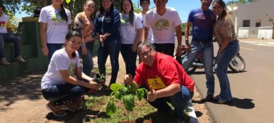 Projeto Mais Verde Mais Vida de Bela Vista realiza plantio de mudas de ipê