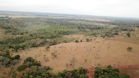 Polícia Militar Ambiental de Jardim usa imagem de satélite e drone e autua infrator em R$ 4,4 mil por desmatamento ilegal de 14,71 hectares