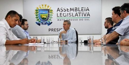 Produtores buscam apoio da ALEMS para alavancar cultivo de erva-mate em MS
