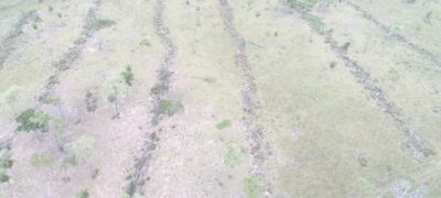 Polícia Militar Ambiental de Bela Vista autua infrator em R$ 23,7 mil por desmatamento ilegal de 79 hectares