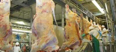 Produtores credenciados no Precoce MS receberam R$ 44,9 milhões em incentivos do Governo neste ano