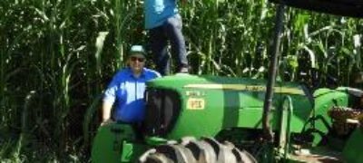 Com seu sorgo gigante, AgricomSeeds  estreia no Show Rural Coopavel