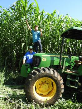 Com seu sorgo gigante, AgricomSeeds  estreia no Show Rural Coopavel