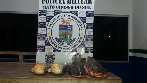 Polícia Militar Ambiental de Bela Vista prende e autua em R$ 8 mil açougueiro e vigilante por pescar em piracema
