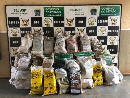 Camionete furtada é recuperada pelo DOF com mais de mil e trezentos quilos de maconha durante a Operação Hórus no MS
