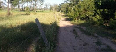 Polícia Militar Ambiental de Bela Vista autua gaúcho em R$ 20 mil por desmatamento ilegal em Caracol