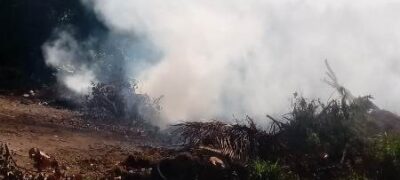 Hemerson Buiu pede fiscalização contra queimadas na área urbana de Bela Vista