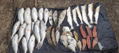 PMA de Aparecida do Taboado prende e autua comerciante voltando de pescaria ilegal com pescado e redes de pesca