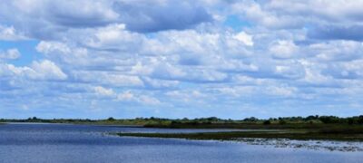 Nos primeiros 71 dias de 2020 Pantanal registra 674 focos de incêndio