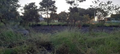 PMA de Jardim autua mulher de 29 anos por provocar incêndio em vegetação em terreno baldio causando transtornos aos vizinhos