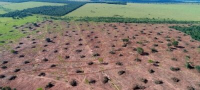 PMA de Cassilândia autua mulher de 66 anos em R$ 11,7 mil por derrubada de árvores em área de 39 hectares para formação de pastagem