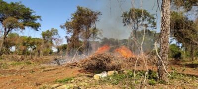 Polícia Militar Ambiental de Jardim autua paranaense por incêndio em pastagem e galhadas em sua propriedade em Nioaque