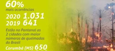 Março registra recorde no número de queimadas do Pantanal