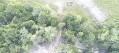 Polícia Militar Ambiental de Bela Vista autua infrator em R$ 5 mil por derrubar matas ciliares de córrego para construção de estrada