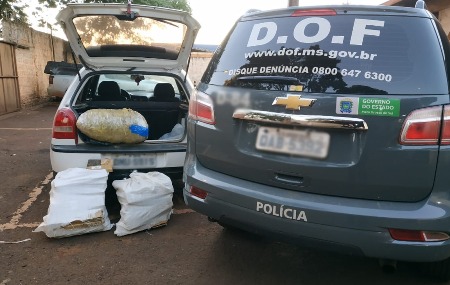 Casal de São Paulo foi preso pelo DOF com 78 quilos de maconha durante a Operação Hórus