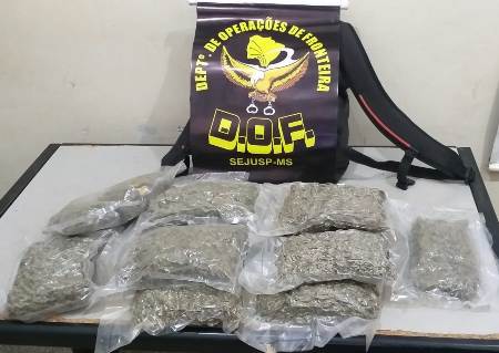 Homem que seguia para São Paulo com Skank foi preso pelo DOF durante a Operação Hórus