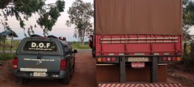 Carreta carregada com 48 mil pacotes de cigarros contrabandeados foi apreendida pelo DOF durante a Operação Hórus