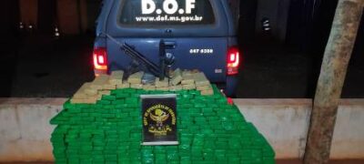 Veículo com mais de 350 quilos de maconha que seguia para a Bahia foi apreendido pelo DOF durante a Operação Hórus