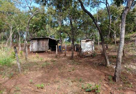 PMA autua invasor em R$ 5 mil por construir depósito e explorar Unidade de Conservação com pecuária e criação de outros animais