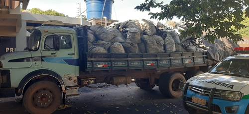 Polícia Militar Ambiental de Jardim autua em R$ 14 mil traficante preso pela Polícia Civil com 4 toneladas de maconha