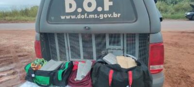 Passageiro de ônibus que seguia com maconha para o Paraná foi preso pelo DOF durante a Operação Hórus
