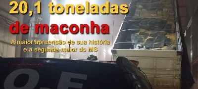 DOF faz a maior apreensão de maconha em 33 anos de sua criação