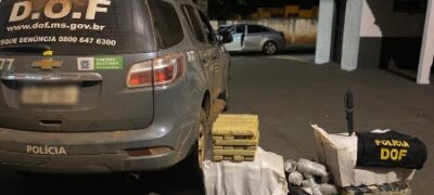 Mais de 160 quilos de maconha abandonados às margens de Rodovia foram apreendidos pelo DOF durante a Operação Hórus