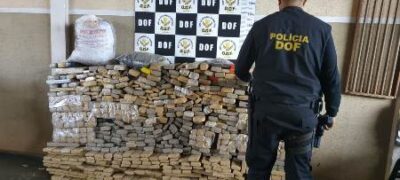 Veículos carregados com mais de 600 quilos de maconha foram apreendidos pelo DOF