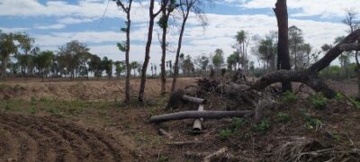 Polícia Militar Ambiental de Bela Vista autua infrator em R$ 54 mil por desmatamento e exploração de madeira
