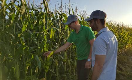 Taranis recebe aporte de US$ 30 milhões para revolucionar a agricultura global