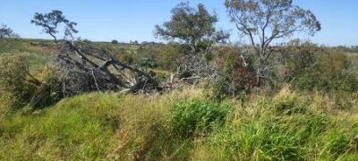 PMA de Porto Murtinho usa imagem de satélite, descobre desmatamento ilegal de 101 hectares e autua infrator em R$ 101 mil
