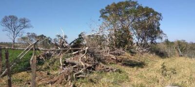 Polícia Militar Ambiental de Bela Vista autua douradense em R$ 183,7 mil por desmatamento ilegal de 74 hectares
